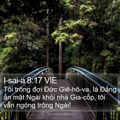 I-sai-a 8:17 VIE Bible Verse Image