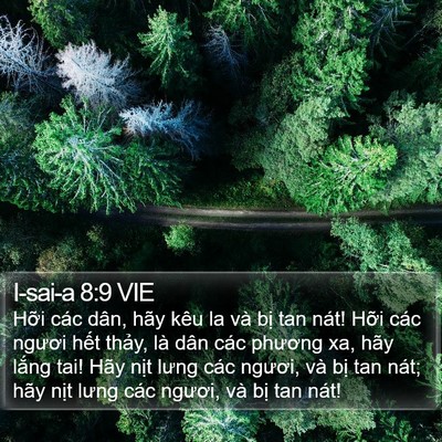 I-sai-a 8:9 VIE Bible Verse Image