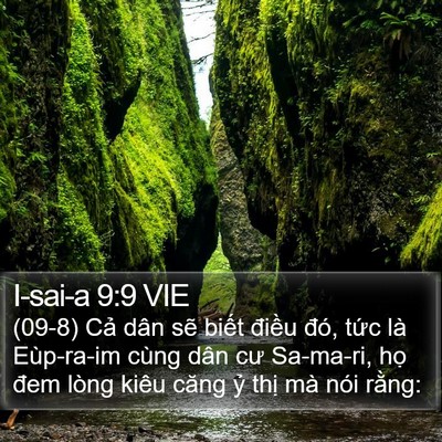 I-sai-a 9:9 VIE Bible Verse Image