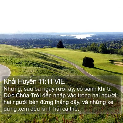 Khải Huyền 11:11 VIE Bible Verse Image
