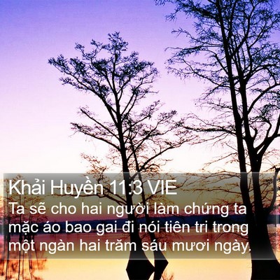 Khải Huyền 11:3 VIE Bible Verse Image