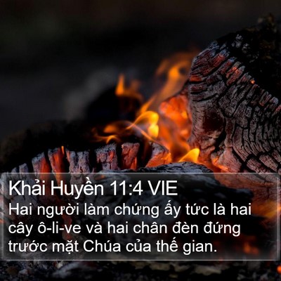 Khải Huyền 11:4 VIE Bible Verse Image