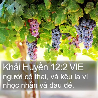 Khải Huyền 12:2 VIE Bible Verse Image