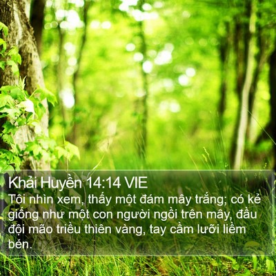Khải Huyền 14:14 VIE Bible Verse Image