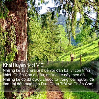Khải Huyền 14:4 VIE Bible Verse Image