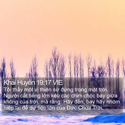 Khải Huyền 19:17 VIE Bible Verse Image