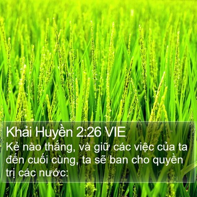 Khải Huyền 2:26 VIE Bible Verse Image