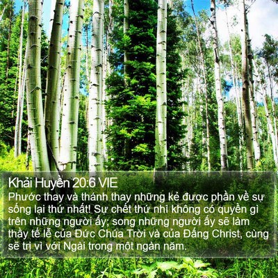 Khải Huyền 20:6 VIE Bible Verse Image