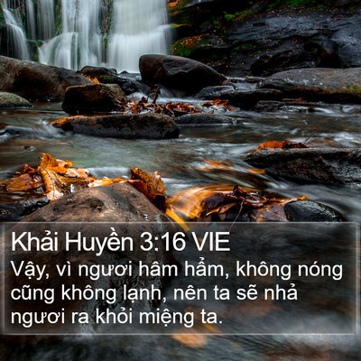 Khải Huyền 3:16 VIE Bible Verse Image