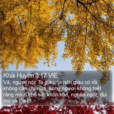 Khải Huyền 3:17 VIE Bible Verse Image