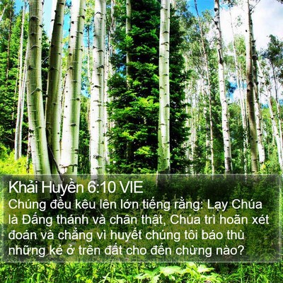 Khải Huyền 6:10 VIE Bible Verse Image