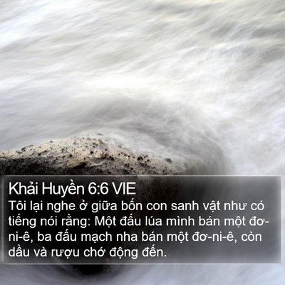 Khải Huyền 6:6 VIE Bible Verse Image