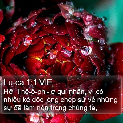 Lu-ca 1:1 VIE Bible Verse Image