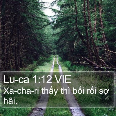 Lu-ca 1:12 VIE Bible Verse Image