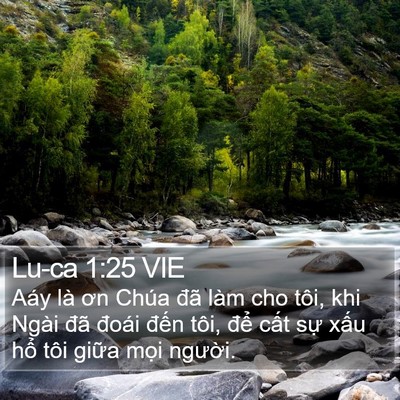 Lu-ca 1:25 VIE Bible Verse Image