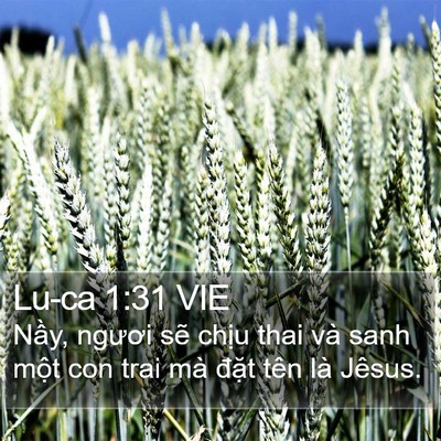 Lu-ca 1:31 VIE Bible Verse Image