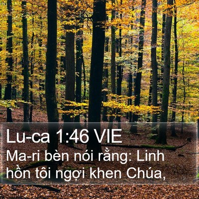 Lu-ca 1:46 VIE Bible Verse Image