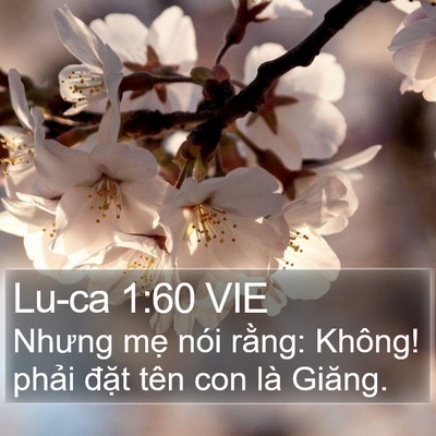 Lu-ca 1:60 VIE Bible Verse Image