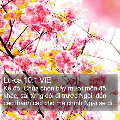 Lu-ca 10:1 VIE Bible Verse Image