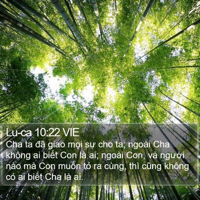 Lu-ca 10:22 VIE Bible Verse Image