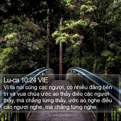 Lu-ca 10:24 VIE Bible Verse Image