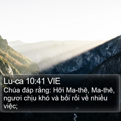 Lu-ca 10:41 VIE Bible Verse Image
