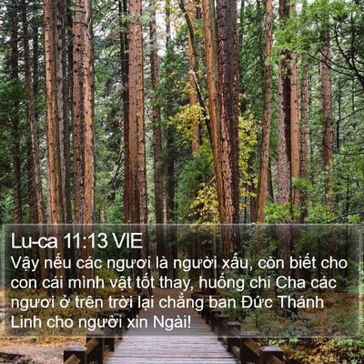 Lu-ca 11:13 VIE Bible Verse Image