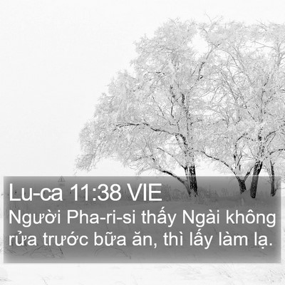 Lu-ca 11:38 VIE Bible Verse Image