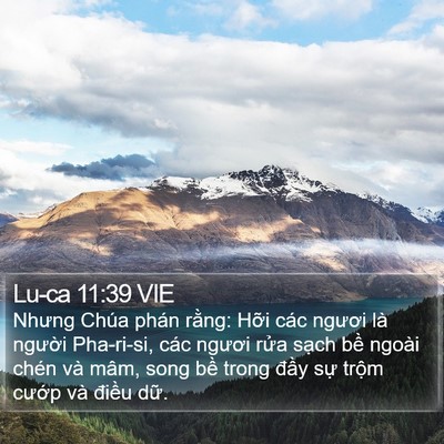 Lu-ca 11:39 VIE Bible Verse Image