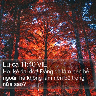 Lu-ca 11:40 VIE Bible Verse Image