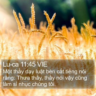Lu-ca 11:45 VIE Bible Verse Image