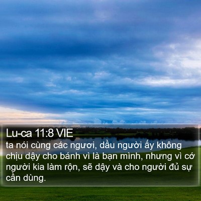 Lu-ca 11:8 VIE Bible Verse Image