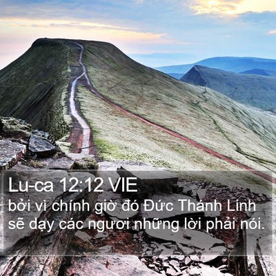 Lu-ca 12:12 VIE Bible Verse Image