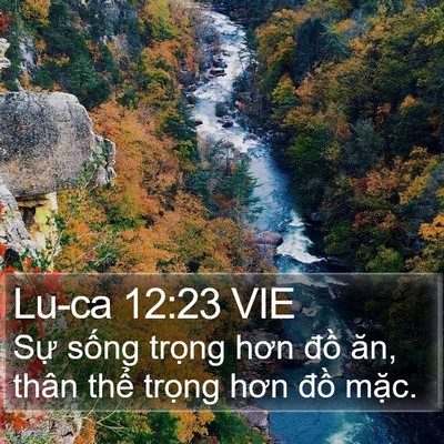 Lu-ca 12:23 VIE Bible Verse Image