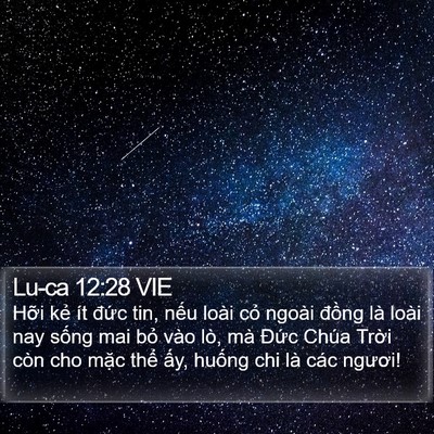 Lu-ca 12:28 VIE Bible Verse Image