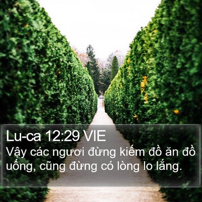 Lu-ca 12:29 VIE Bible Verse Image
