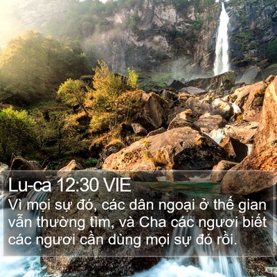 Lu-ca 12:30 VIE Bible Verse Image