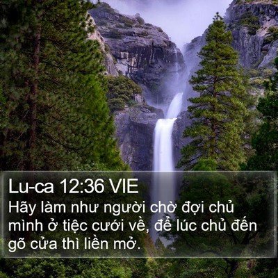 Lu-ca 12:36 VIE Bible Verse Image