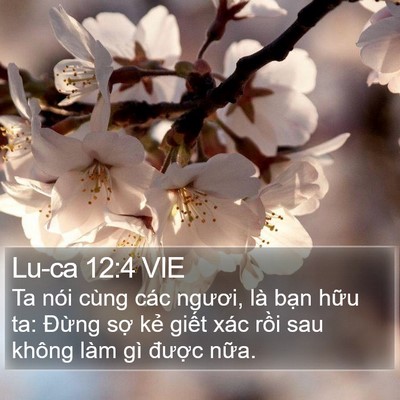 Lu-ca 12:4 VIE Bible Verse Image