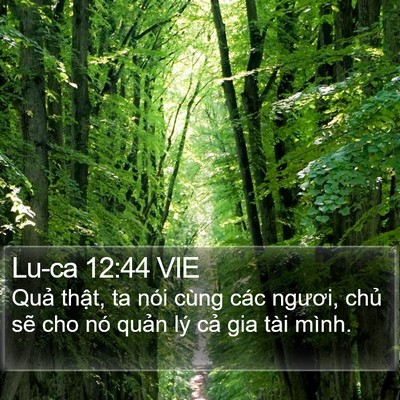 Lu-ca 12:44 VIE Bible Verse Image
