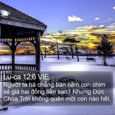 Lu-ca 12:6 VIE Bible Verse Image