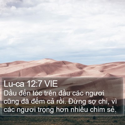 Lu-ca 12:7 VIE Bible Verse Image