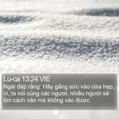 Lu-ca 13:24 VIE Bible Verse Image
