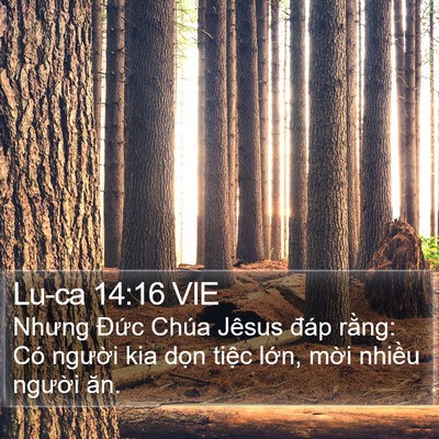 Lu-ca 14:16 VIE Bible Verse Image