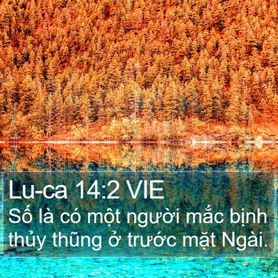 Lu-ca 14:2 VIE Bible Verse Image