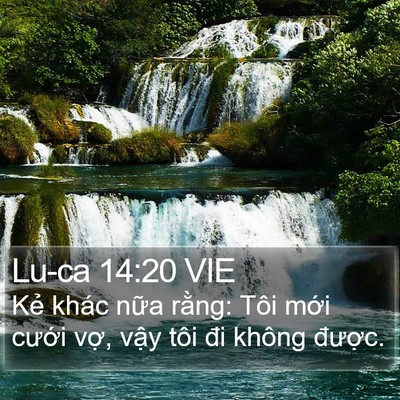Lu-ca 14:20 VIE Bible Verse Image