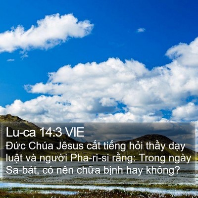 Lu-ca 14:3 VIE Bible Verse Image