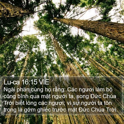 Lu-ca 16:15 VIE Bible Verse Image