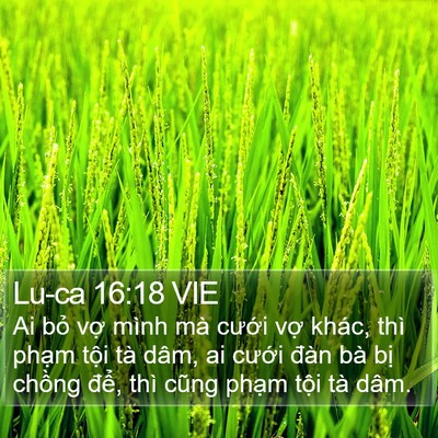 Lu-ca 16:18 VIE Bible Verse Image