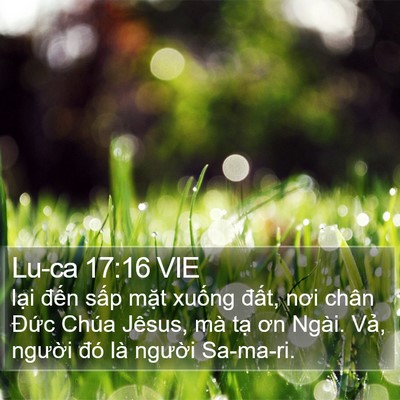 Lu-ca 17:16 VIE Bible Verse Image